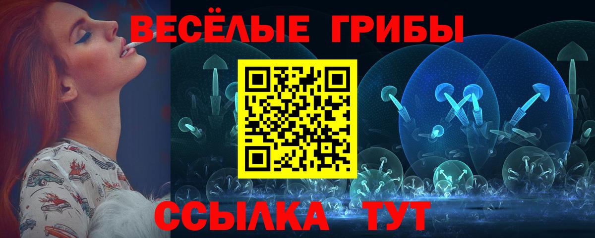 Псилоцибиновые грибы Cubensis Гудермес