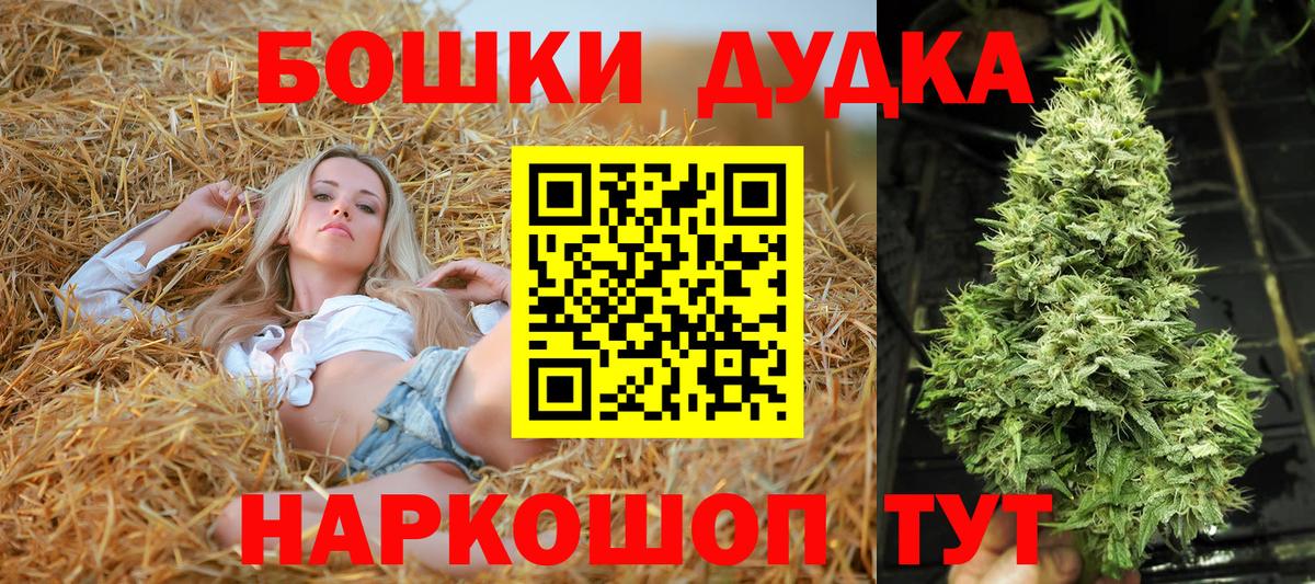 Бошки Шишки план Гудермес
